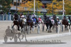 Dateiname=20251012_r07_088_R07_0335.jpg
Dateigröße=302KB
Abmessungen: 1000x667
hinzugefügt am: 14. Oktober 2025 20251012_r07_088_R07_0335.jpg