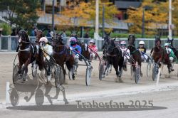 Dateiname=20251012_r07_089_R07_0339.jpg
Dateigröße=303KB
Abmessungen: 1000x667
hinzugefügt am: 14. Oktober 2025 20251012_r07_089_R07_0339.jpg