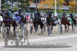 Dateiname=20251012_r07_090_R07_0344.jpg
Dateigröße=324KB
Abmessungen: 1000x667
hinzugefügt am: 14. Oktober 2025 20251012_r07_090_R07_0344.jpg