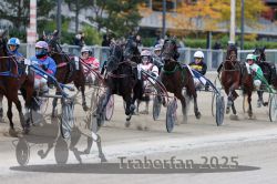 Dateiname=20251012_r07_092_R07_0348.jpg
Dateigröße=321KB
Abmessungen: 1000x667
hinzugefügt am: 14. Oktober 2025 20251012_r07_092_R07_0348.jpg