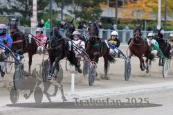 Dateiname=20251012_r07_093_R07_0352.jpg
Dateigröße=317KB
Abmessungen: 1000x667
hinzugefügt am: 14. Oktober 2025 20251012_r07_093_R07_0352.jpg