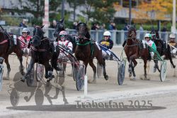 Dateiname=20251012_r07_094_R07_0355.jpg
Dateigröße=306KB
Abmessungen: 1000x667
hinzugefügt am: 14. Oktober 2025 20251012_r07_094_R07_0355.jpg