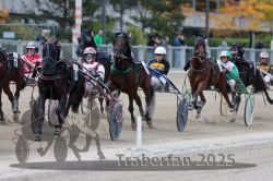 Dateiname=20251012_r07_095_R07_0356.jpg
Dateigröße=304KB
Abmessungen: 1000x667
hinzugefügt am: 14. Oktober 2025 20251012_r07_095_R07_0356.jpg