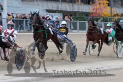 Dateiname=20251012_r07_097_R07_0364.jpg
Dateigröße=297KB
Abmessungen: 1000x667
hinzugefügt am: 14. Oktober 2025 20251012_r07_097_R07_0364.jpg