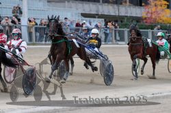 Dateiname=20251012_r07_098_R07_0365.jpg
Dateigröße=293KB
Abmessungen: 1000x667
hinzugefügt am: 14. Oktober 2025 20251012_r07_098_R07_0365.jpg