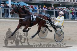 Dateiname=20251012_r07_126_R07_0438.jpg
Dateigröße=295KB
Abmessungen: 1000x667
hinzugefügt am: 14. Oktober 2025 20251012_r07_126_R07_0438.jpg