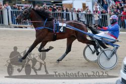 Dateiname=20251012_r07_128_R07_0449.jpg
Dateigröße=297KB
Abmessungen: 1000x667
hinzugefügt am: 14. Oktober 2025 20251012_r07_128_R07_0449.jpg