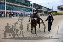 Dateiname=20251012_r07_130_CR5_0323.jpg
Dateigröße=325KB
Abmessungen: 1000x667
hinzugefügt am: 14. Oktober 2025 20251012_r07_130_CR5_0323.jpg