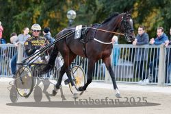 Dateiname=20251012_r08a_005_R05_0313.jpg
Dateigröße=318KB
Abmessungen: 1000x667
hinzugefügt am: 14. Oktober 2025 20251012_r08a_005_R05_0313.jpg