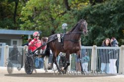 Dateiname=20251012_r08a_007_R05_0317.jpg
Dateigröße=295KB
Abmessungen: 1000x667
hinzugefügt am: 14. Oktober 2025 20251012_r08a_007_R05_0317.jpg