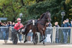 Dateiname=20251012_r08a_008_R05_0322.jpg
Dateigröße=304KB
Abmessungen: 1000x667
hinzugefügt am: 14. Oktober 2025 20251012_r08a_008_R05_0322.jpg