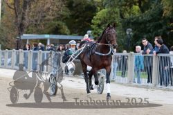 Dateiname=20251012_r08a_011_R05_0329.jpg
Dateigröße=317KB
Abmessungen: 1000x667
hinzugefügt am: 14. Oktober 2025 20251012_r08a_011_R05_0329.jpg