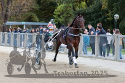 Dateiname=20251012_r08a_012_R05_0333.jpg
Dateigröße=318KB
Abmessungen: 1000x667
hinzugefügt am: 14. Oktober 2025 20251012_r08a_012_R05_0333.jpg