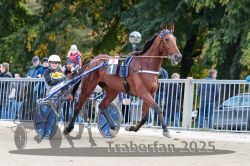 Dateiname=20251012_r08a_019_R05_0357.jpg
Dateigröße=339KB
Abmessungen: 1000x667
hinzugefügt am: 14. Oktober 2025 20251012_r08a_019_R05_0357.jpg