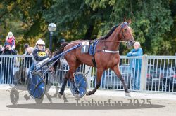 Dateiname=20251012_r08a_020_R05_0361.jpg
Dateigröße=338KB
Abmessungen: 1000x667
hinzugefügt am: 14. Oktober 2025 20251012_r08a_020_R05_0361.jpg