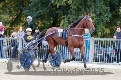 Dateiname=20251012_r08a_021_R05_0362.jpg
Dateigröße=337KB
Abmessungen: 1000x667
hinzugefügt am: 14. Oktober 2025 20251012_r08a_021_R05_0362.jpg