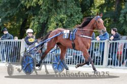 Dateiname=20251012_r08a_022_R05_0366.jpg
Dateigröße=329KB
Abmessungen: 1000x667
hinzugefügt am: 14. Oktober 2025 20251012_r08a_022_R05_0366.jpg