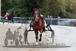 Dateiname=20251012_r08a_023_R05_0370.jpg
Dateigröße=263KB
Abmessungen: 1000x667
hinzugefügt am: 14. Oktober 2025 20251012_r08a_023_R05_0370.jpg