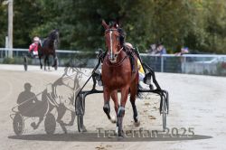 Dateiname=20251012_r08a_024_R05_0373.jpg
Dateigröße=262KB
Abmessungen: 1000x667
hinzugefügt am: 14. Oktober 2025 20251012_r08a_024_R05_0373.jpg