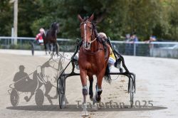 Dateiname=20251012_r08a_025_R05_0377.jpg
Dateigröße=256KB
Abmessungen: 1000x667
hinzugefügt am: 14. Oktober 2025 20251012_r08a_025_R05_0377.jpg