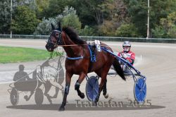 Dateiname=20251012_r08a_027_R05_0383.jpg
Dateigröße=292KB
Abmessungen: 1000x667
hinzugefügt am: 14. Oktober 2025 20251012_r08a_027_R05_0383.jpg