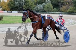 Dateiname=20251012_r08a_028_R05_0386.jpg
Dateigröße=292KB
Abmessungen: 1000x667
hinzugefügt am: 14. Oktober 2025 20251012_r08a_028_R05_0386.jpg