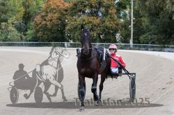 Dateiname=20251012_r08a_031_R05_0397.jpg
Dateigröße=314KB
Abmessungen: 1000x667
hinzugefügt am: 14. Oktober 2025 20251012_r08a_031_R05_0397.jpg