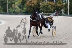 Dateiname=20251012_r08a_033_R05_0404.jpg
Dateigröße=308KB
Abmessungen: 1000x667
hinzugefügt am: 14. Oktober 2025 20251012_r08a_033_R05_0404.jpg