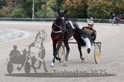 Dateiname=20251012_r08a_034_R05_0408.jpg
Dateigröße=301KB
Abmessungen: 1000x667
hinzugefügt am: 14. Oktober 2025 20251012_r08a_034_R05_0408.jpg