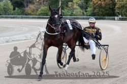 Dateiname=20251012_r08a_035_R05_0413.jpg
Dateigröße=291KB
Abmessungen: 1000x667
hinzugefügt am: 14. Oktober 2025 20251012_r08a_035_R05_0413.jpg