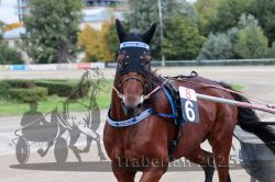 Dateiname=20251012_r08a_036_R05_0416.jpg
Dateigröße=259KB
Abmessungen: 1000x667
hinzugefügt am: 14. Oktober 2025 20251012_r08a_036_R05_0416.jpg