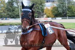 Dateiname=20251012_r08a_037_R05_0419.jpg
Dateigröße=264KB
Abmessungen: 1000x667
hinzugefügt am: 14. Oktober 2025 20251012_r08a_037_R05_0419.jpg