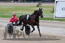 Dateiname=20251012_r08a_038_R05_0422.jpg
Dateigröße=252KB
Abmessungen: 1000x667
hinzugefügt am: 14. Oktober 2025 20251012_r08a_038_R05_0422.jpg