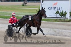 Dateiname=20251012_r08a_039_R05_0425.jpg
Dateigröße=264KB
Abmessungen: 1000x667
hinzugefügt am: 14. Oktober 2025 20251012_r08a_039_R05_0425.jpg