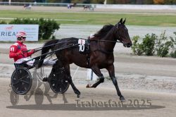 Dateiname=20251012_r08a_043_R05_0438.jpg
Dateigröße=270KB
Abmessungen: 1000x667
hinzugefügt am: 14. Oktober 2025 20251012_r08a_043_R05_0438.jpg