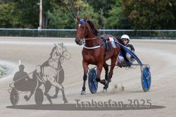 Dateiname=20251012_r08a_049_R05_0457.jpg
Dateigröße=262KB
Abmessungen: 1000x667
hinzugefügt am: 14. Oktober 2025 20251012_r08a_049_R05_0457.jpg