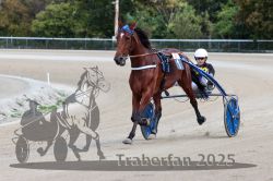 Dateiname=20251012_r08a_050_R05_0461.jpg
Dateigröße=274KB
Abmessungen: 1000x667
hinzugefügt am: 14. Oktober 2025 20251012_r08a_050_R05_0461.jpg