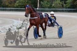 Dateiname=20251012_r08a_051_R05_0464.jpg
Dateigröße=269KB
Abmessungen: 1000x667
hinzugefügt am: 14. Oktober 2025 20251012_r08a_051_R05_0464.jpg