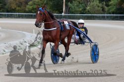 Dateiname=20251012_r08a_052_R05_0465.jpg
Dateigröße=268KB
Abmessungen: 1000x667
hinzugefügt am: 14. Oktober 2025 20251012_r08a_052_R05_0465.jpg