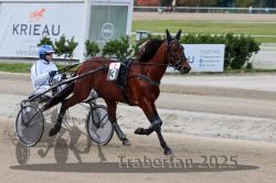 Dateiname=20251012_r08a_055_R05_0473.jpg
Dateigröße=277KB
Abmessungen: 1000x667
hinzugefügt am: 14. Oktober 2025 20251012_r08a_055_R05_0473.jpg