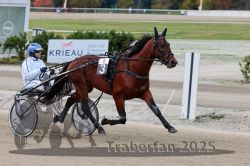 Dateiname=20251012_r08a_056_R05_0476.jpg
Dateigröße=283KB
Abmessungen: 1000x667
hinzugefügt am: 14. Oktober 2025 20251012_r08a_056_R05_0476.jpg