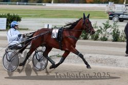 Dateiname=20251012_r08a_057_R05_0479.jpg
Dateigröße=289KB
Abmessungen: 1000x667
hinzugefügt am: 14. Oktober 2025 20251012_r08a_057_R05_0479.jpg