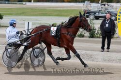 Dateiname=20251012_r08a_058_R05_0480.jpg
Dateigröße=288KB
Abmessungen: 1000x667
hinzugefügt am: 14. Oktober 2025 20251012_r08a_058_R05_0480.jpg