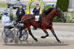 Dateiname=20251012_r08a_060_R05_0484.jpg
Dateigröße=311KB
Abmessungen: 1000x667
hinzugefügt am: 14. Oktober 2025 20251012_r08a_060_R05_0484.jpg