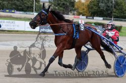 Dateiname=20251012_r08a_061_R05_0487.jpg
Dateigröße=302KB
Abmessungen: 1000x667
hinzugefügt am: 14. Oktober 2025 20251012_r08a_061_R05_0487.jpg