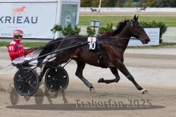 Dateiname=20251012_r08a_063_R05_0497.jpg
Dateigröße=278KB
Abmessungen: 1000x667
hinzugefügt am: 14. Oktober 2025 20251012_r08a_063_R05_0497.jpg