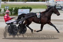 Dateiname=20251012_r08a_064_R05_0500.jpg
Dateigröße=279KB
Abmessungen: 1000x667
hinzugefügt am: 14. Oktober 2025 20251012_r08a_064_R05_0500.jpg