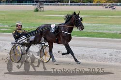 Dateiname=20251012_r08a_066_R05_0503.jpg
Dateigröße=276KB
Abmessungen: 1000x667
hinzugefügt am: 14. Oktober 2025 20251012_r08a_066_R05_0503.jpg