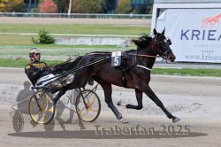 Dateiname=20251012_r08a_069_R05_0510.jpg
Dateigröße=281KB
Abmessungen: 1000x667
hinzugefügt am: 14. Oktober 2025 20251012_r08a_069_R05_0510.jpg