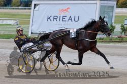 Dateiname=20251012_r08a_070_R05_0513.jpg
Dateigröße=271KB
Abmessungen: 1000x667
hinzugefügt am: 14. Oktober 2025 20251012_r08a_070_R05_0513.jpg